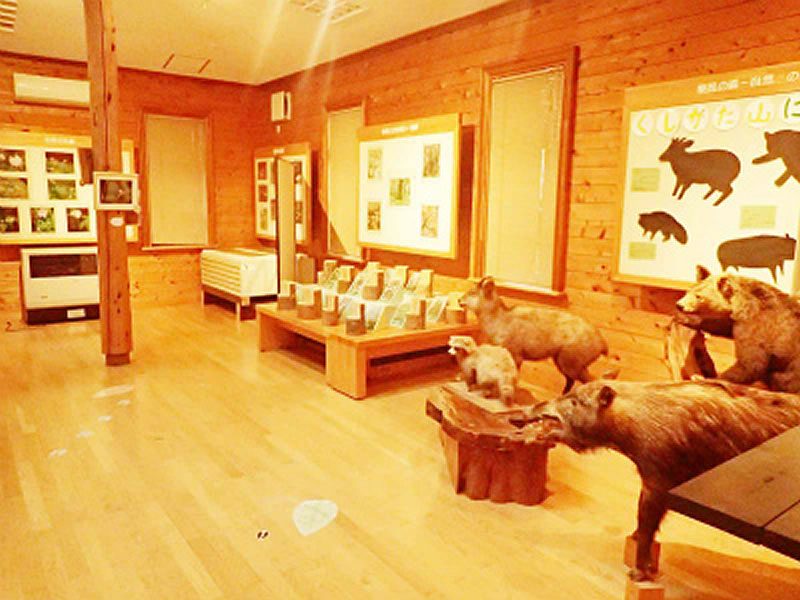 森林科学館　展示室