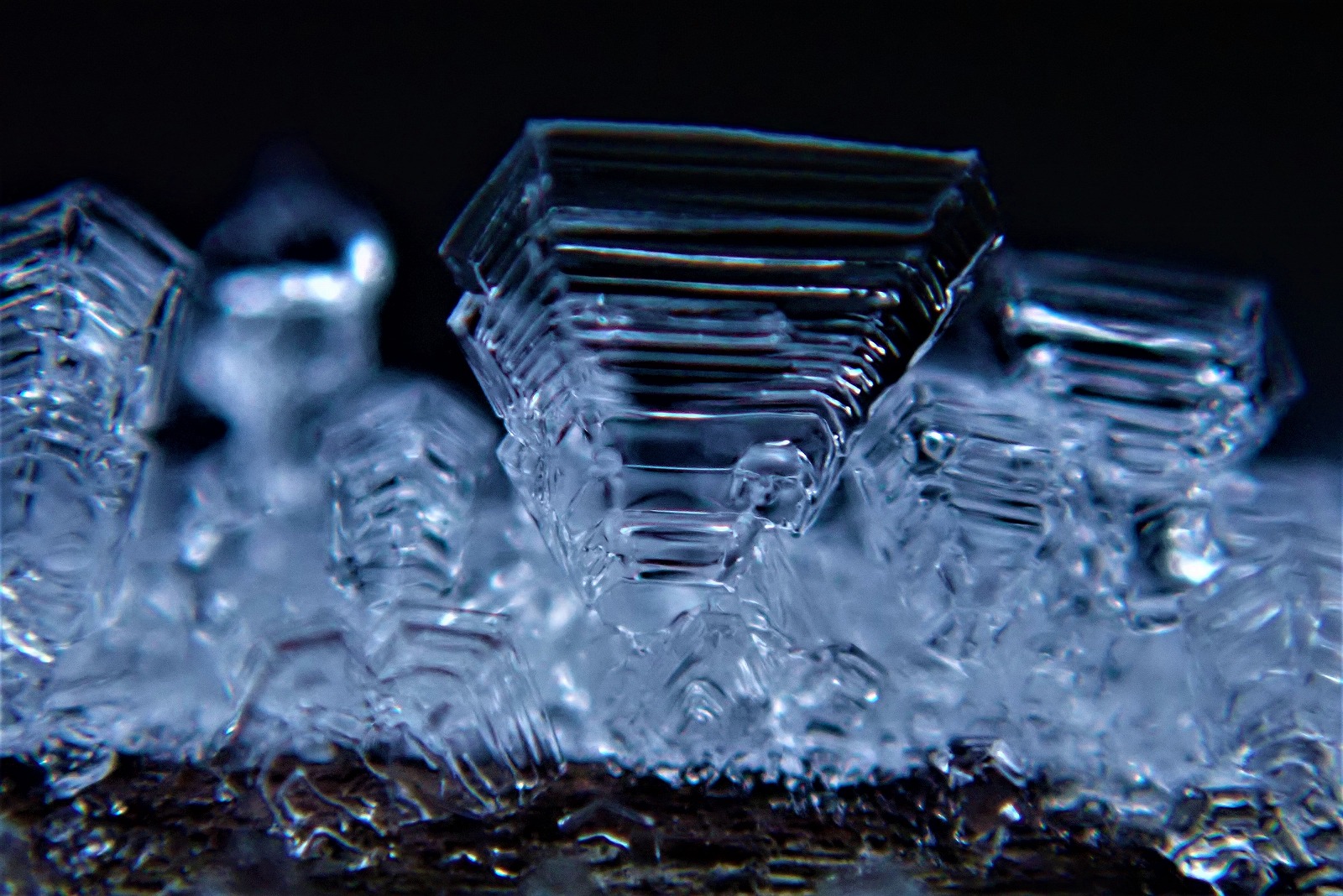氷の結晶を発見 エコパ伊奈ヶ湖