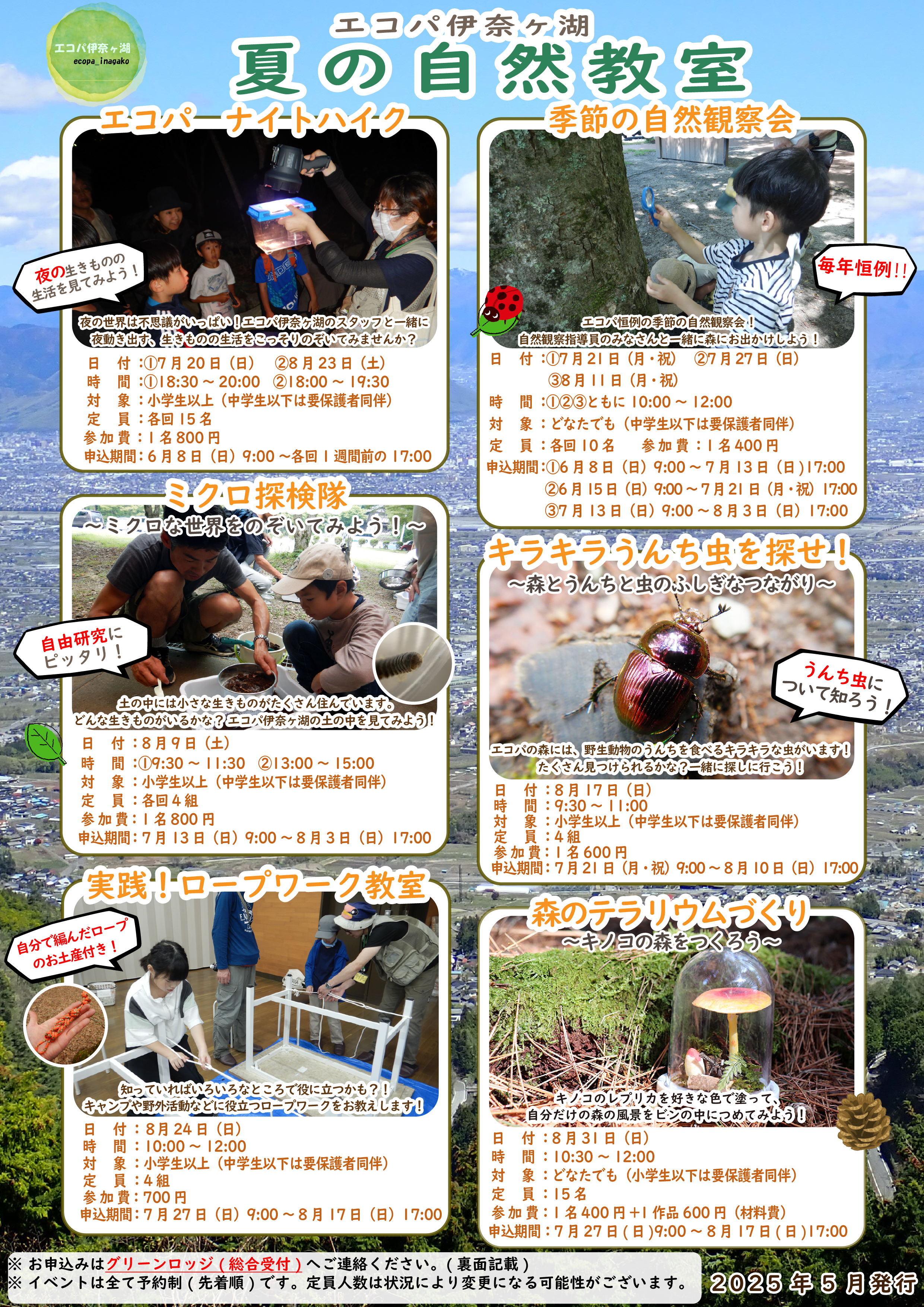 いきものがかり　学級新聞　初期　チラシなど いきもの学級新聞 No.37 - ぶログだよ